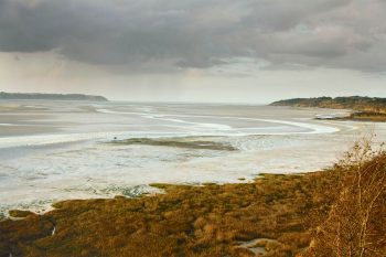 Entre Hillion et Saint-Brieuc, l'anse d'Yffiniac se découvre à chaque marée. C'est le moment que choisissent les oiseaux et les pêcheurs à pied pour investir les lieux.   Entre Hillion et Saint-Brieuc, l'anse d'Yffiniac se découvre à chaque marée. C'est le moment que choisissent les oiseaux et les pêcheurs à pied pour investir les lieux.