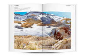 Extrait choisi du Hors-Série "Altitude 2157" - « Les petits monts récemment dégagés par la fonte se tapissent de fleurs surgies avec empressement. » / © Laurent Willenegger
