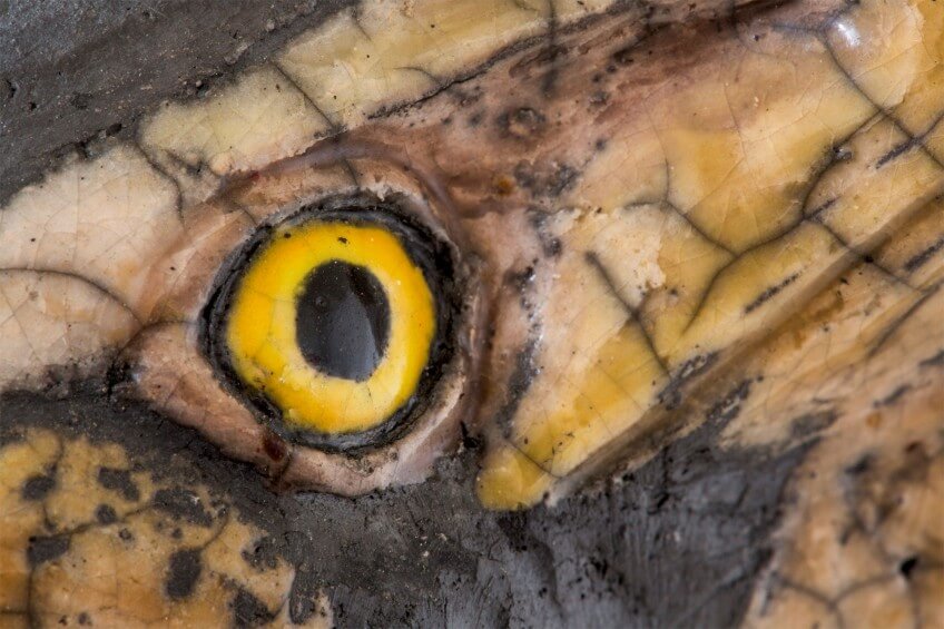 Grand butor en céramique