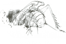 Grillon en train de creuser son terrier / © Benoît Perrotin