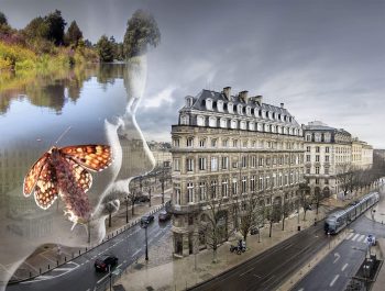 Image de couverture du film "Vous avez dit sauvage?"