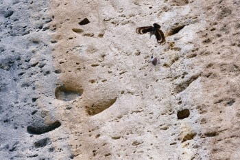 La femelle tichodrome vient d'inspecter la cavidé que lui propose un mâle pour le nid. Lui convient-elle? / © Christophe Sidamon-Pesson