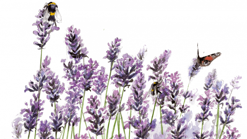 Fleurir pour les abeilles