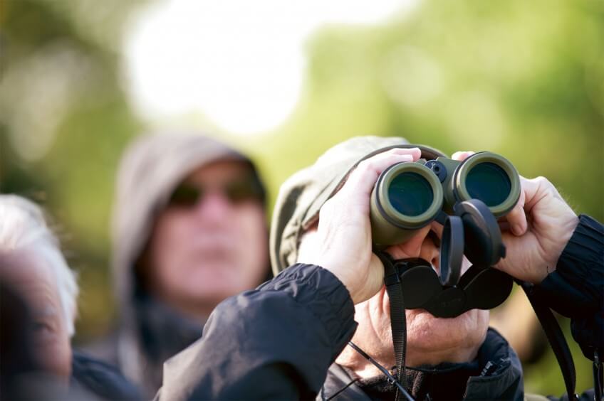 C'est la fête de la nature 2013 en Suisse et en France