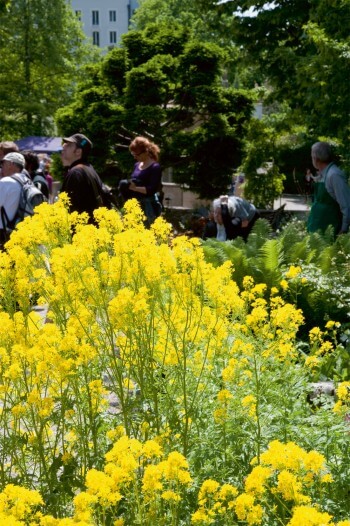 C'est la fête de la nature 2013 en Suisse et en France