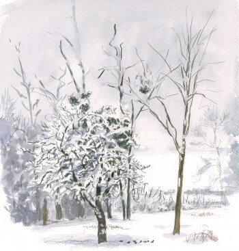 La neige a pris possession du jardin. paysage enneigé