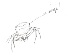 L'abdomen de cette thomise semble évoquer un visage. / © Benoît Perrotin