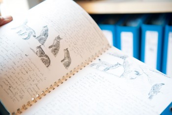 L'atelier de Jacques Rime porte la mémoire de sa quête passionnée du lynx et s'enrichit encore maintenant de nombreux dessins ou gravures. / © Hélène Tobler