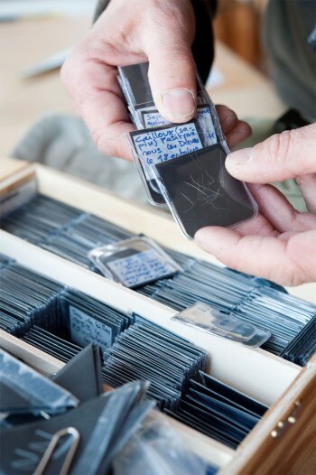 L'atelier de Jacques Rime porte la mémoire de sa quête passionnée du lynx et s'enrichit encore maintenant de nombreux dessins ou gravures. / © Hélène Tobler