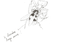 « Le bourdon bouge encore! » / © Benoît Perrotin