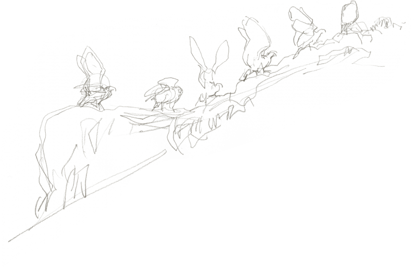 L'envol de l'aigle héritier