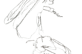 « Le mâle approche la femelle. » / © Benoît Perrotin