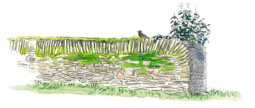 Le réveil du vieux mur
