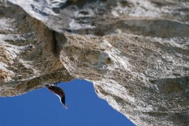 Le tichodrome inspecte la falaise et y déniche quelques petites bêtes. « ses lignes et ses couleurs nous mènent à penser que nos rêves les plus inattendus sont franchi la barrière qui sépare le rêve de l'imaginaire. » / © Christophe Sidamon-Pesson