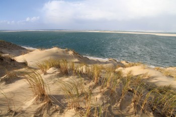 Les espaces naturels abritent les habitats et les écosystèmes fondamentaux pour la faune et la flore. Véritables berceaux de la biodiversité, leur équilibre est fragile. Les rivages marins comme ce littoral landais sont particulièrement menacés.  / © Jean-Philippe Paul