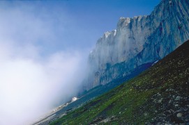 Les photos inédites de Eugene Huttenmoser, le premier à avoir tiré le portrait du tichodrome / © Eugene Huttenmoser