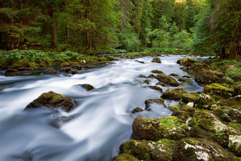 Quand la rivière Orbe déborde au printemps