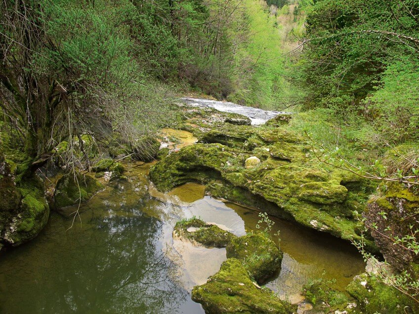 Quand la rivière Orbe déborde au printemps