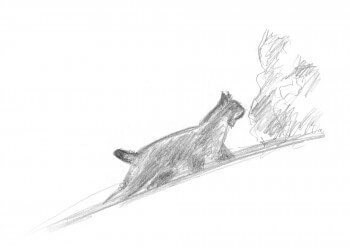 Lynx avançant dans la neige croqué sur le terrain / © Jacques Rime