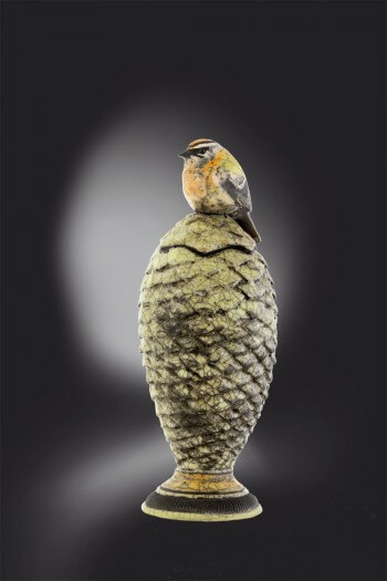 Roitelet triple-bandeau