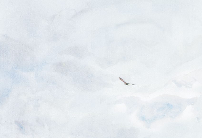 Denis Clavreul le peintre des aigles