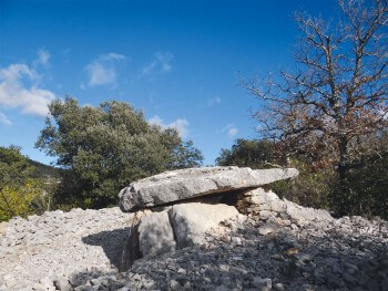 Saint-Hippolyte-du-Fort (Gard) / © Claire Lecoeuvre