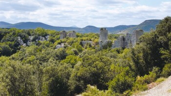 Saint-Hippolyte-du-Fort (Gard) / © Bruno Artaud