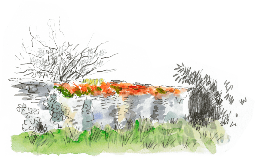 Le réveil du vieux mur