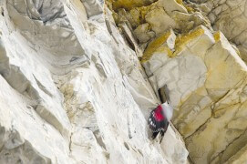 Tichodrome échelette / © Benoît Renevey