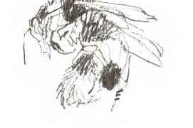 « Un cadavre 17/06 » / © Benoît Perrotin