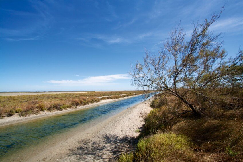 Un canal en Camargue
