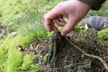 Un œil expert détecte des indices discrets sur la rive. / © Jean-Philippe Paul