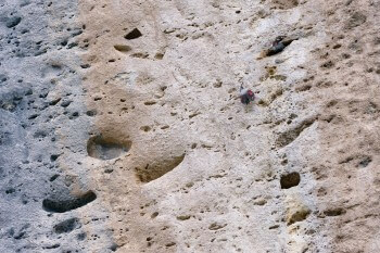 Vie de famille tichodrome / © Christophe Sidamon-Pesson