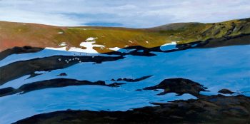 Vol de niverolles alpines au-dessus d'une pleine enneigée