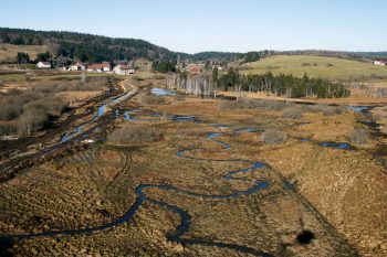 Vue aérienne d'un secteur renaturé où la Lemme de 1,5-2 m de large serpente à nouveau dans le marais. Au fond à gauche, l'ancien tracé rectiligne et large de 6-7 m avant son effacement. Vue aérienne d'un secteur renaturé où la Lemme de 1,5-2 m de large serpente à nouveau dans le marais. Au fond à gauche, l'ancien tracé rectiligne et large de 6-7 m avant son effacement.