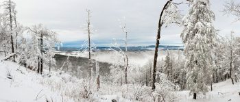 Vue derrière les Aiguilles de Baulmes sur les étendues forestières du Jura français.
