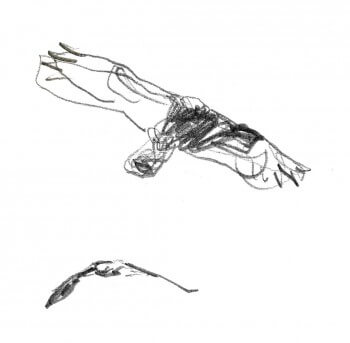 Noces royales sur la corniche des aigles