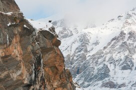 23 novembre - Tant que la couche de neige n'est pas trop importante, quelques chamois s'attardent sur les crêtes où le vent dégage un peu de nourriture. / © Anne et Erik Lapied