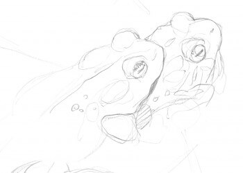 Accouplement de crapauds communs. dessin d'accouplement de crapauds