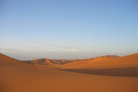Au début de leur migration, les milans noirs quittent leurs quartiers d'hiver verdoyants pour survoler les dunes de sable du Sahara. / © Jérôme Gremaud
