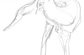 Chevreuil / © Laurent Willenegger