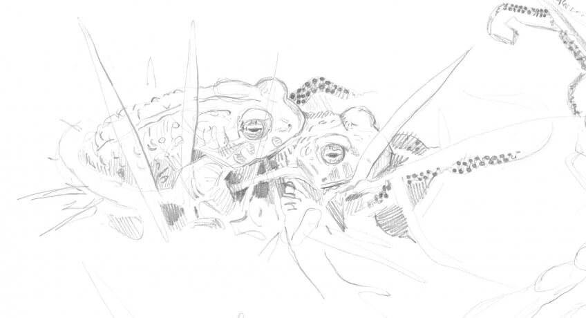 « Chez les crapauds, le long ruban d'oeufs est déposé et immédiatement fécondé par le mâle. Deux semaines plus tard, les tétards éclosent. » dessin d'accouplement de crapauds