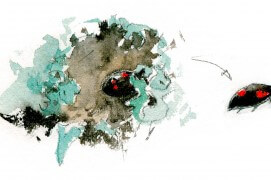 « Coccinelle à virgules (Brumus quadripustulatus) » / © Benoît Perrotin