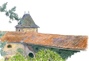 De nombreux oiseaux ont adopté les toits comme lieux de nourrissage et de repos. De nombreux oiseaux ont adopté les toits comme lieux de nourrissage et de repos.