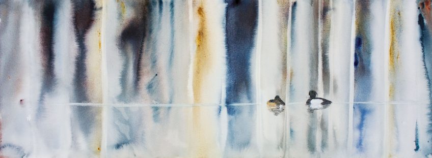 Aquarelle de morillons