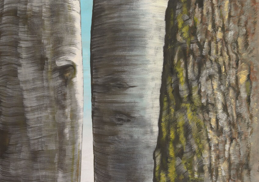 Ecorce de charme, hêtre (au centre) et chêne (à droite) Dessin d'écorces d'arbres