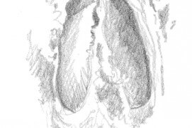 Empreinte de chevreuil Empreinte de chevreuil / © Laurent Willenegger