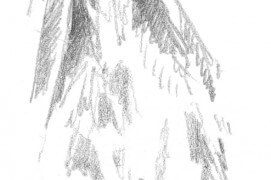 Empreinte de chevreuil Empreinte de chevreuil / © Laurent Willenegger