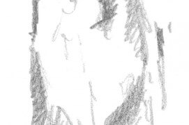 Empreinte de chevreuil Empreinte de chevreuil / © Laurent Willenegger