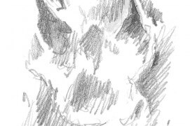 Empreinte de renard Empreinte de renard / © Laurent Willenegger